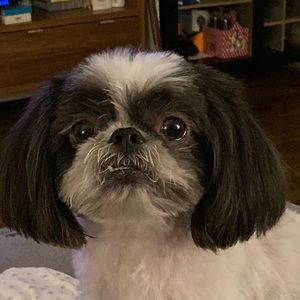 Meet your Posher, Mikel